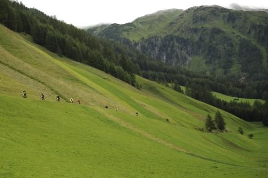 Lower down the mountain.