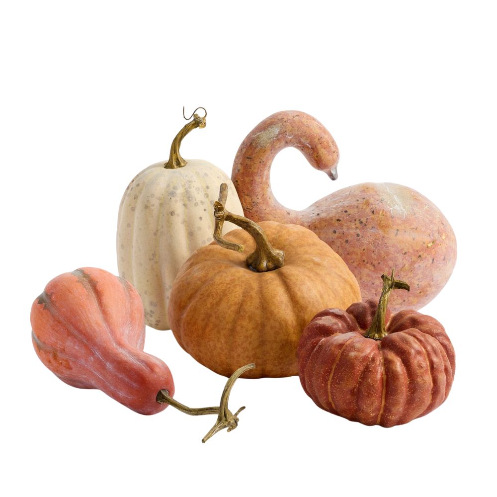 Faux Pumpkins &amp;amp; Gourds - Set of 5