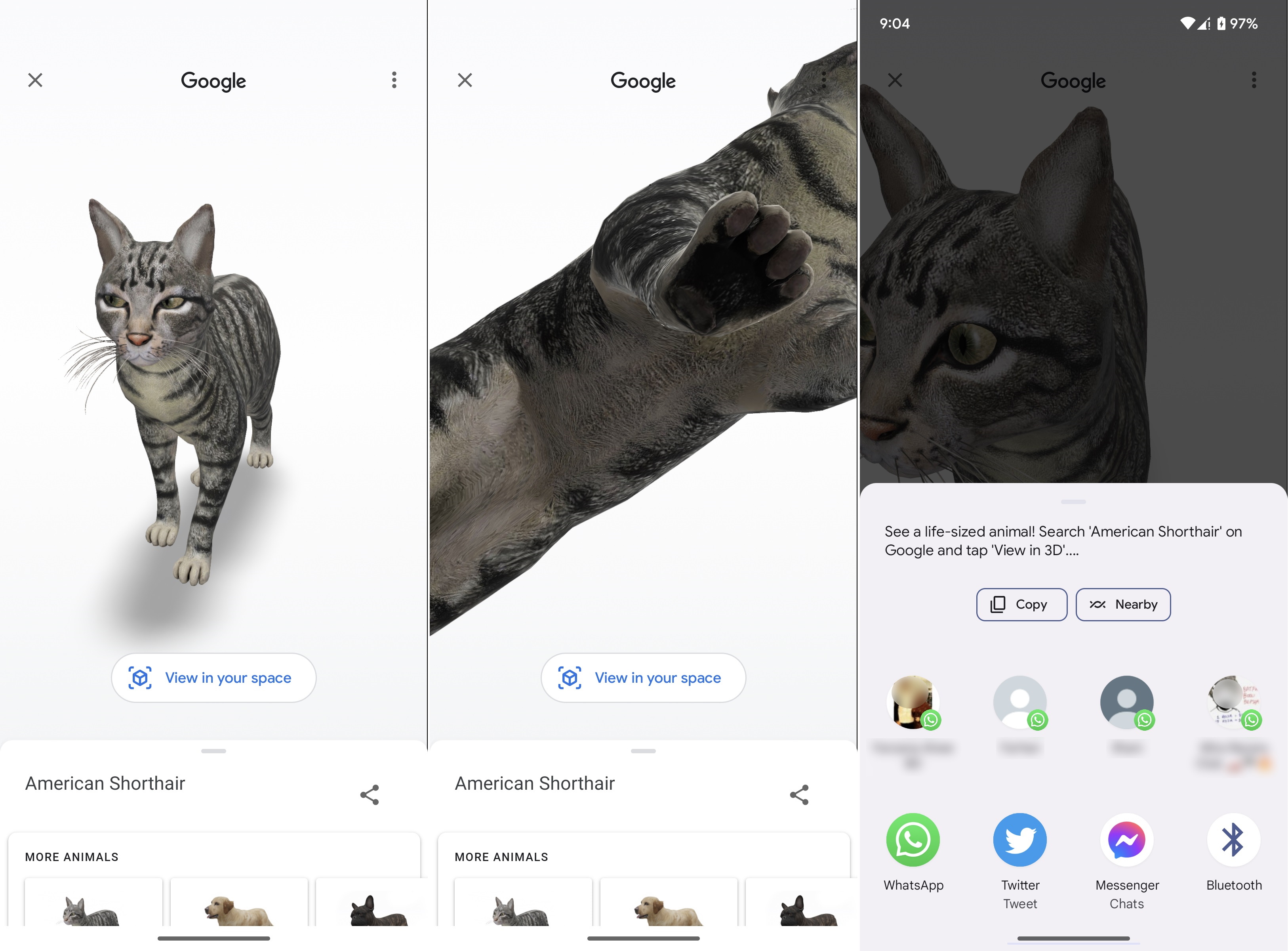 How do you use Google's 3D animals and objects in Object View?