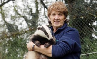 Pauline Kidner of Secret World Wildlife Rescue holding an adult badger
