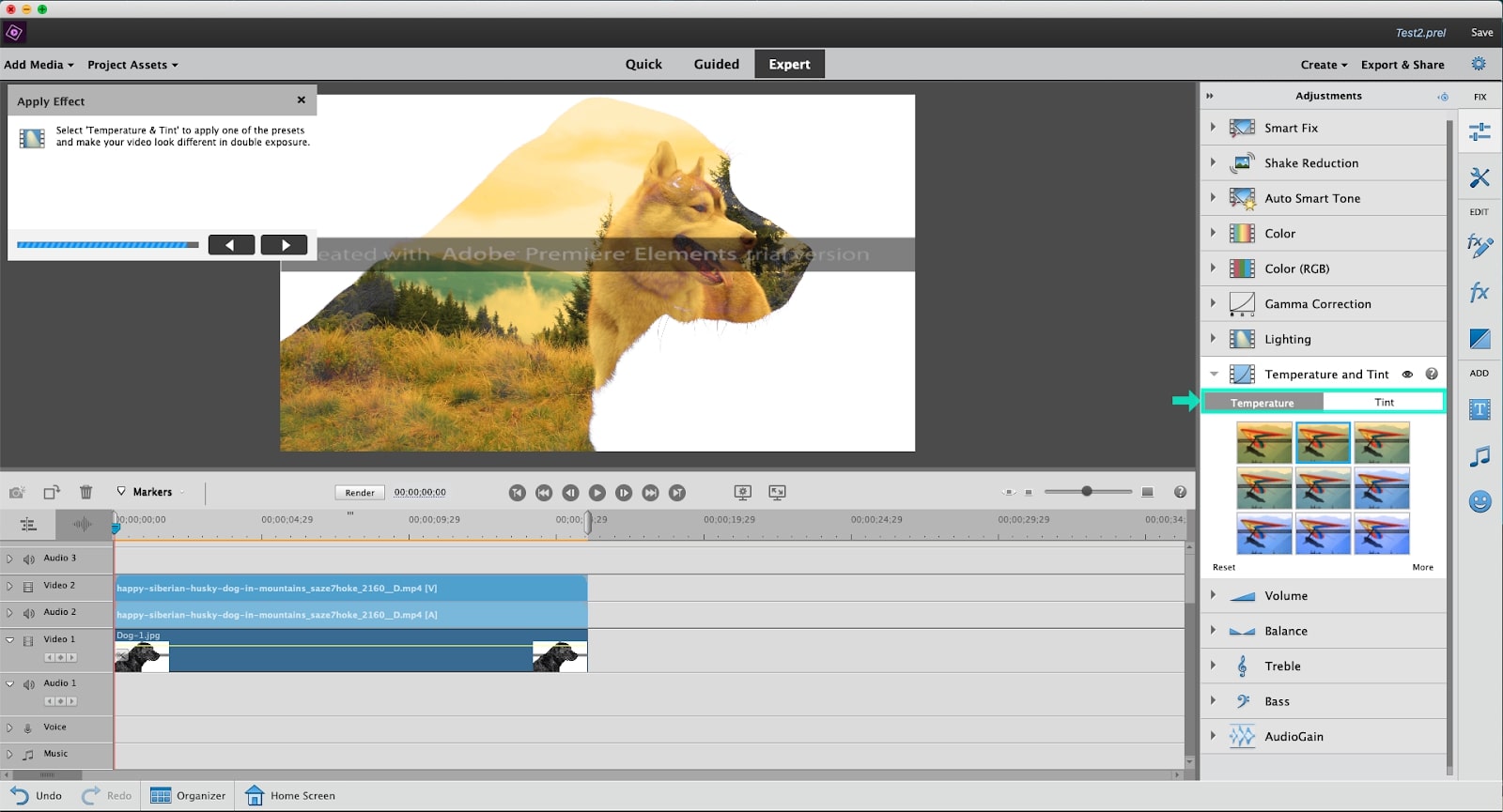 Adobe Premiere Elements review