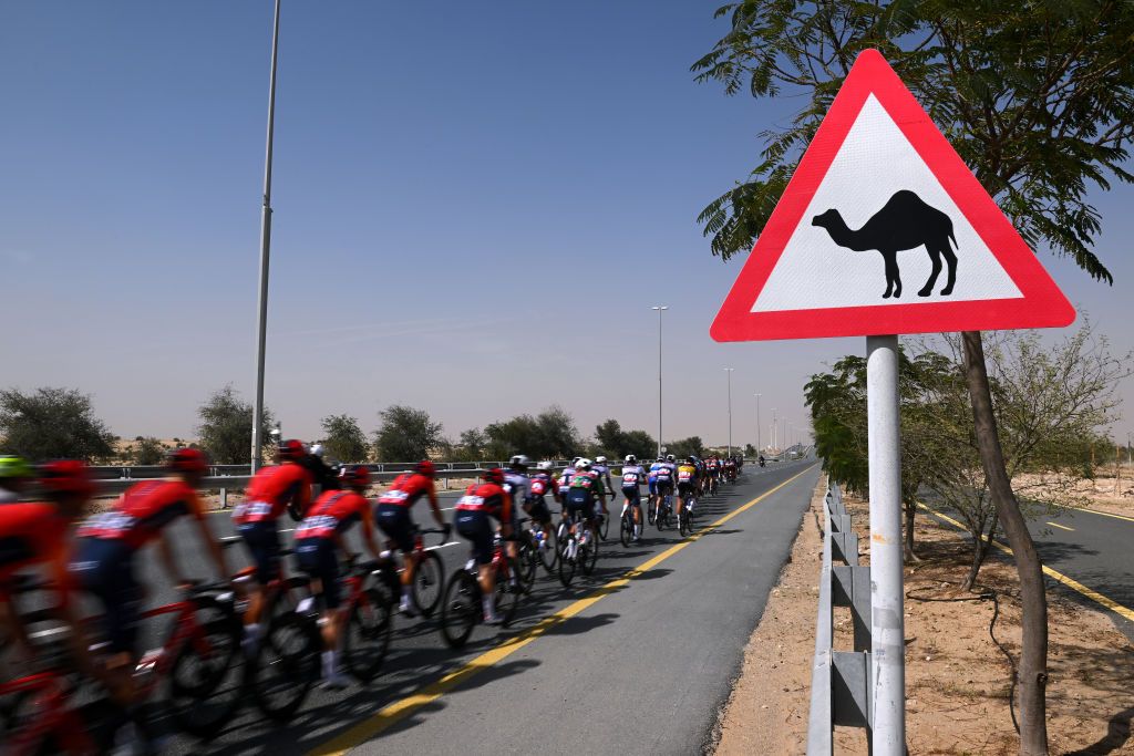 DUBAI HARBOUR UNITED ARAB EMIRATES FEBRUARY 23 A general view of the peloton competing during the 5th UAE Tour Stage 4 a 174km stage from Al Shindagha to Dubai Harbour UAETour UCIWT on February 23 2023 in Dubai Harbour United Arab Emirates Photo by Dario BelingheriGetty Images