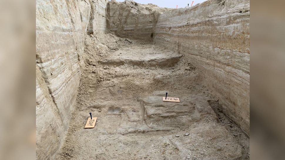 Fossilized footprints in New Mexico are earliest 'unequivocal evidence