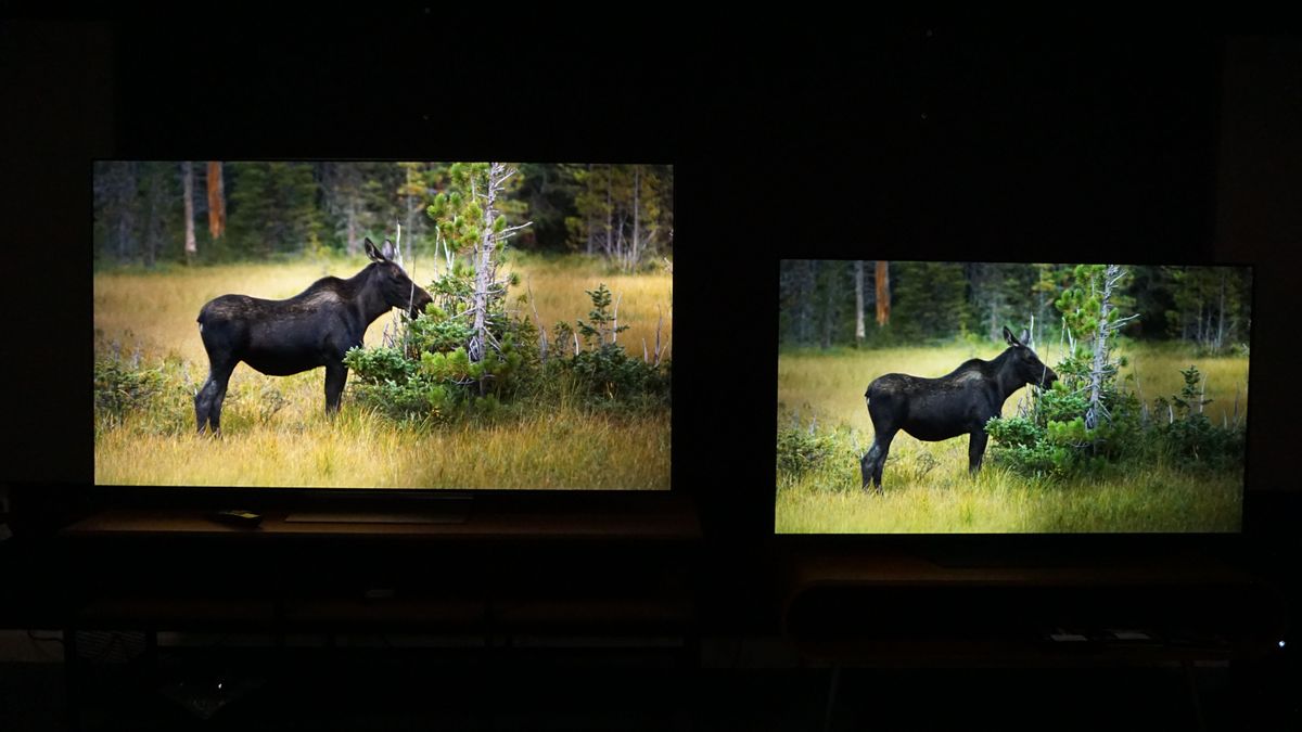 What's the difference between a cheap and premium OLED TV? You might be ...