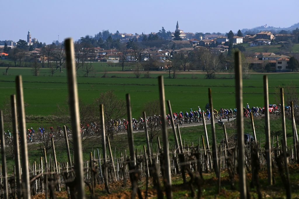 SANREMO ITALY MARCH 18 A general view of the peloton passing through a vineyards landscape during the 114th MilanoSanremo 2023 a 294km one day race from Abbiategrasso to Sanremo MilanoSanremo UCIWT on March 18 2023 in Sanremo Italy Photo by Tim de WaeleGetty Images