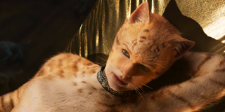 Taylor Swift as a cat in Cats