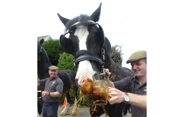 Monty enjoys a pint of Corvus 8.8