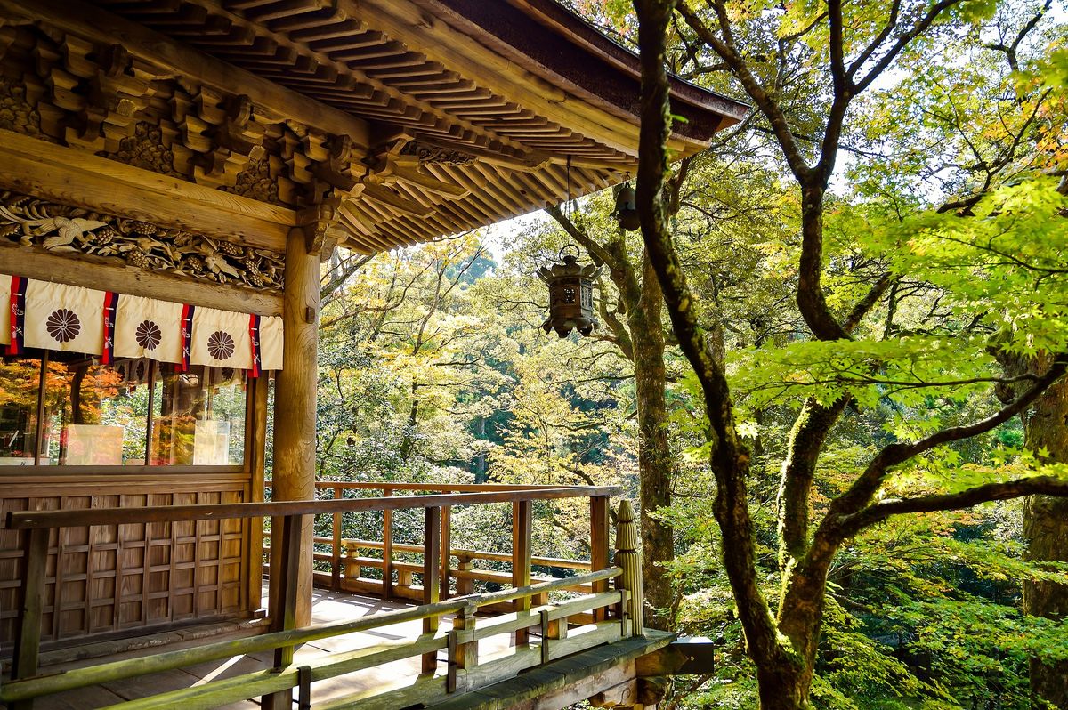 Why now is the best time to visit Japan