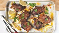 lamb chops harissa