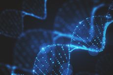 An illustration of DNA.