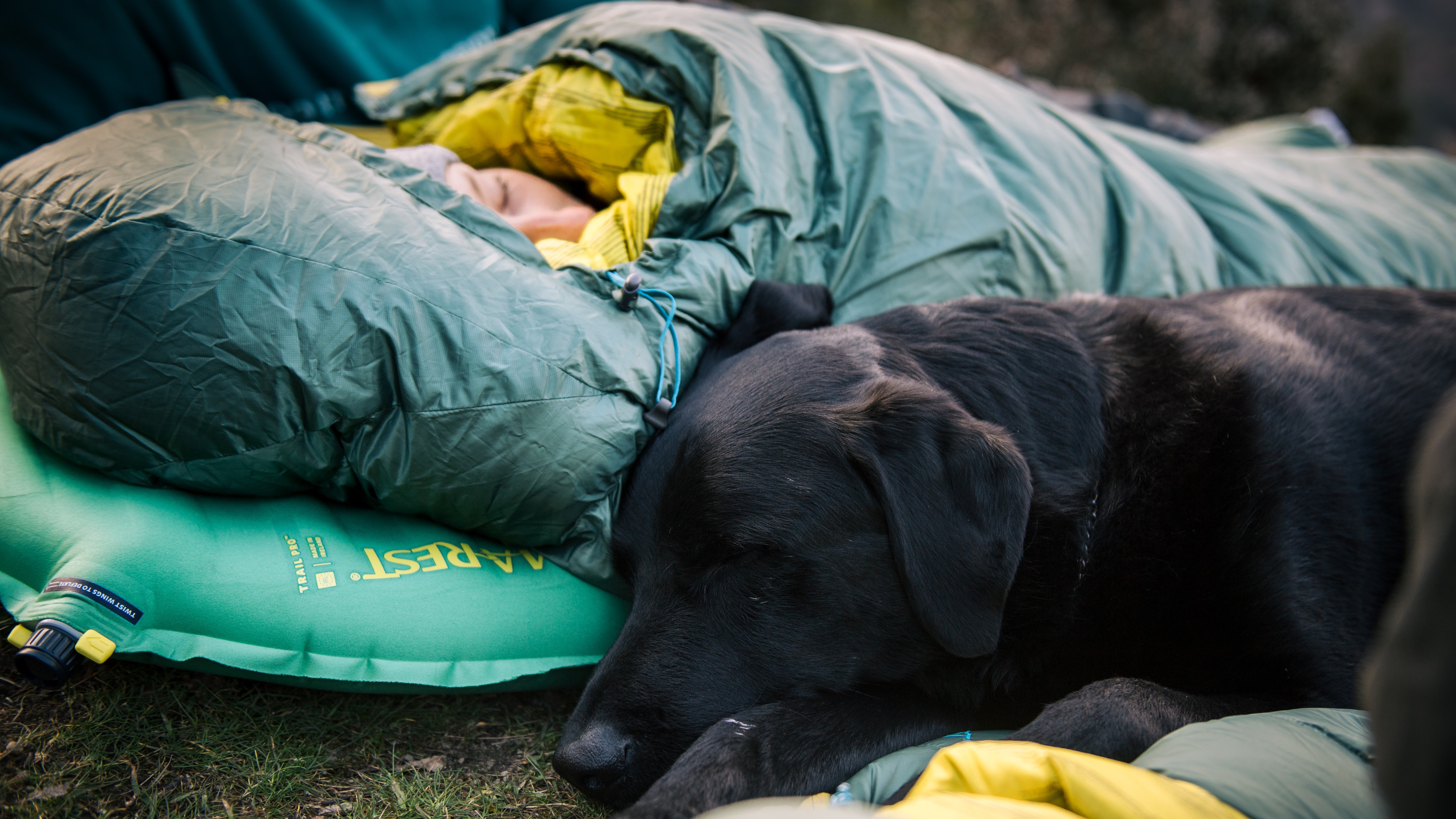 A camper sleeping outdoors on a Therm-a-Rest sleeping pad with black dog next to her