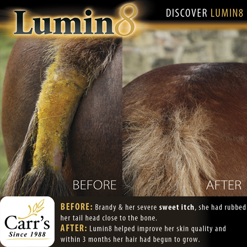 Lumin8.jpg