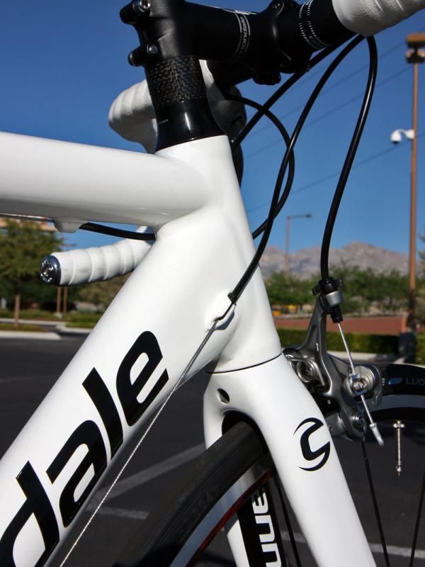 The giant hydroformed down tube flares at the tapered head tube to lend additional support.