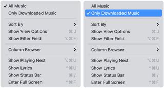 To see your local music on your Mac, open the Music app, then select Song or Albums from the menu on the left under Library. Choose Only Downloaded Music under the View menu at the to.