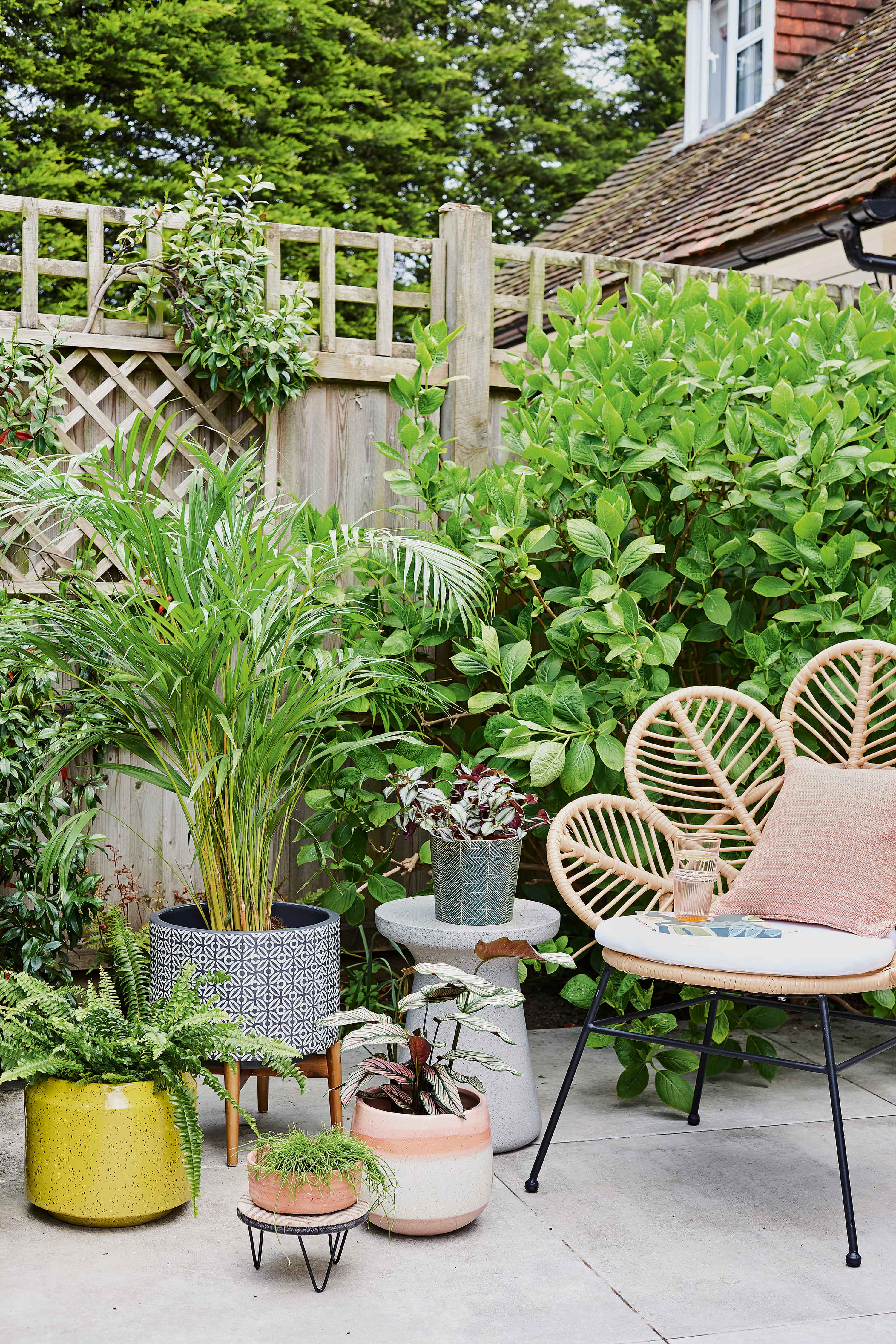 low maintenance garden ideas: pots