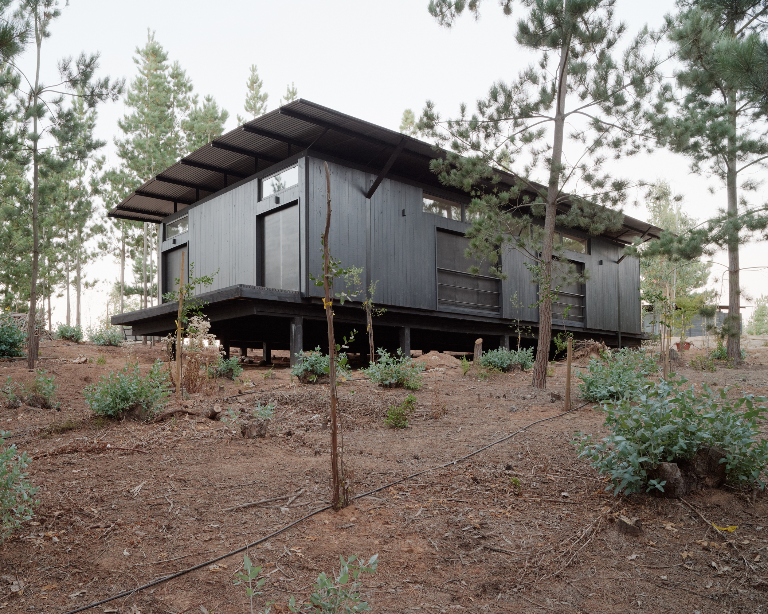 Dharq Arquitectos