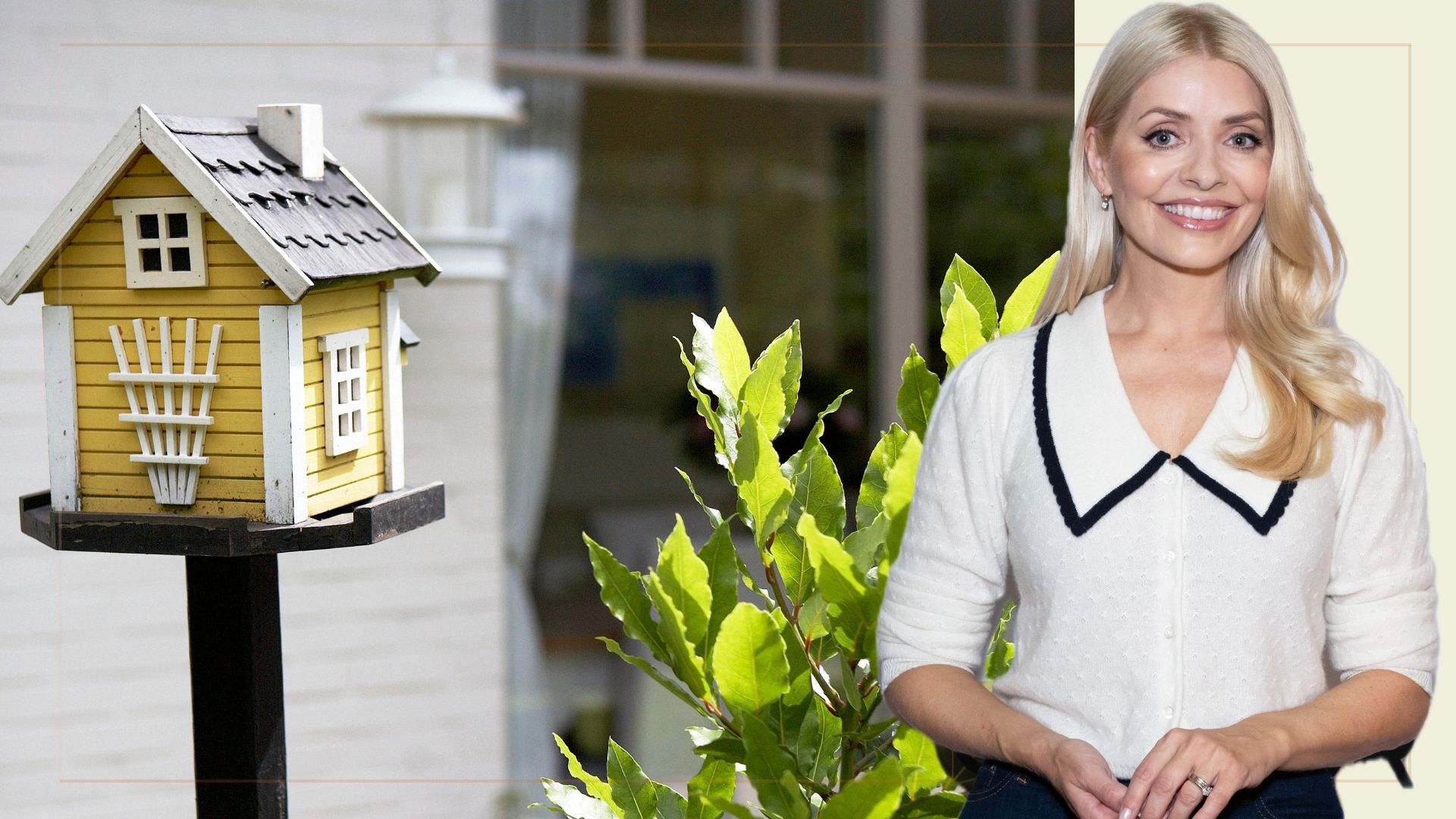 collage image with Holly Willoughby and a traditional bird table
