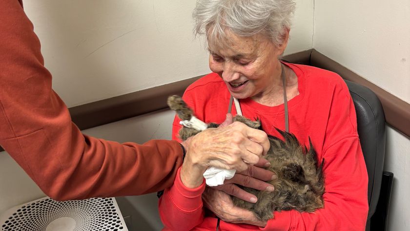 Katherine Kiefer holds Aggie in her arms after being reunited