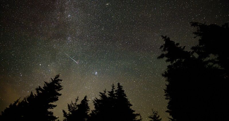 Perseids