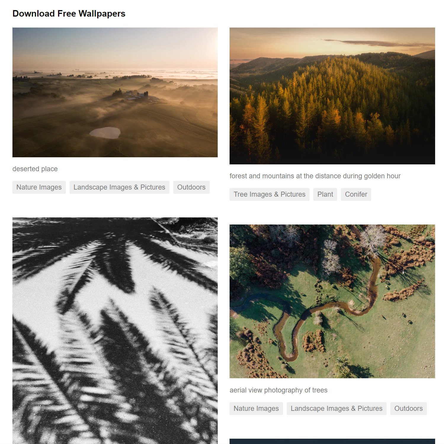 Best Windows 10 Wallpaper Apps and sites in 2020 Windows Central