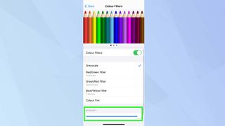 iPhone Grayscale colour filter intensity bar highlighted