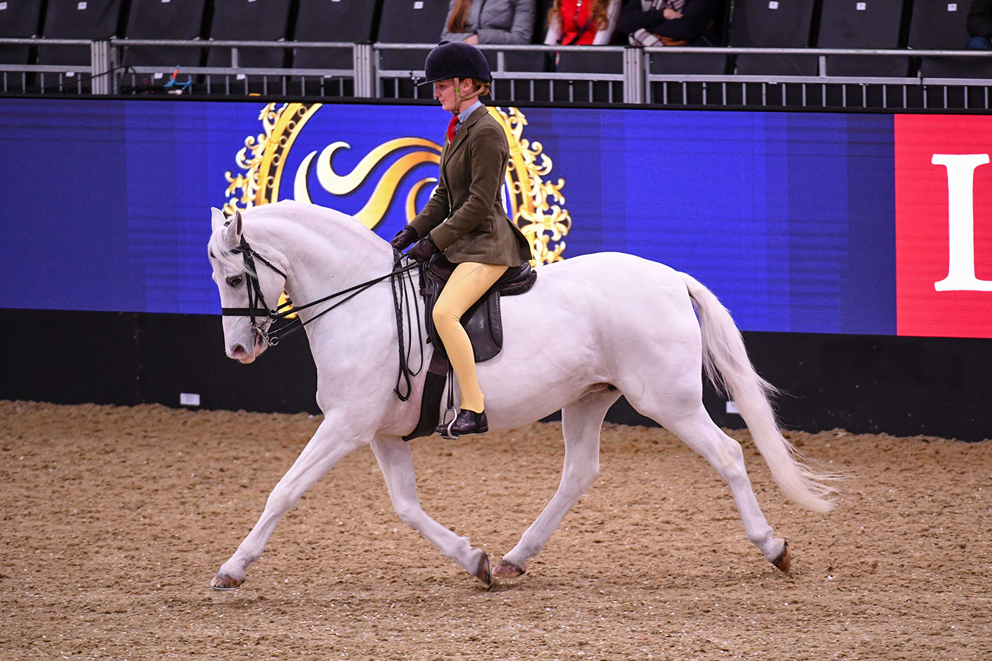 HorseNo39_LIHS_PN21_4902
