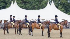 Line up in the show pony championship at Royal Windsor Horse Show 2025
