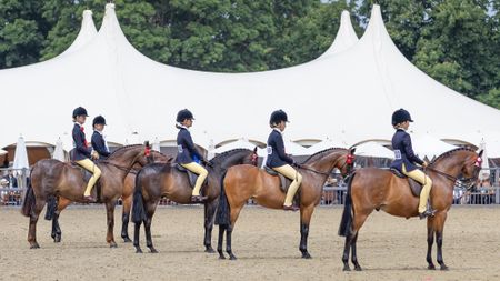Line up in the show pony championship at Royal Windsor Horse Show 2025