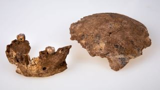Researchers discovered a new type of early human at the Nesher Ramla site in Israel.