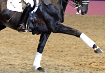 olympia-dressage.jpg