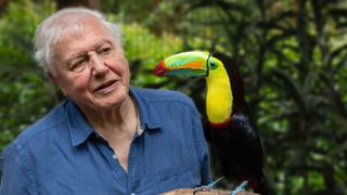 Sir David Attenborough Attenborough's Life in Colour