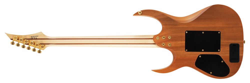 Solar Guitars electric guitar