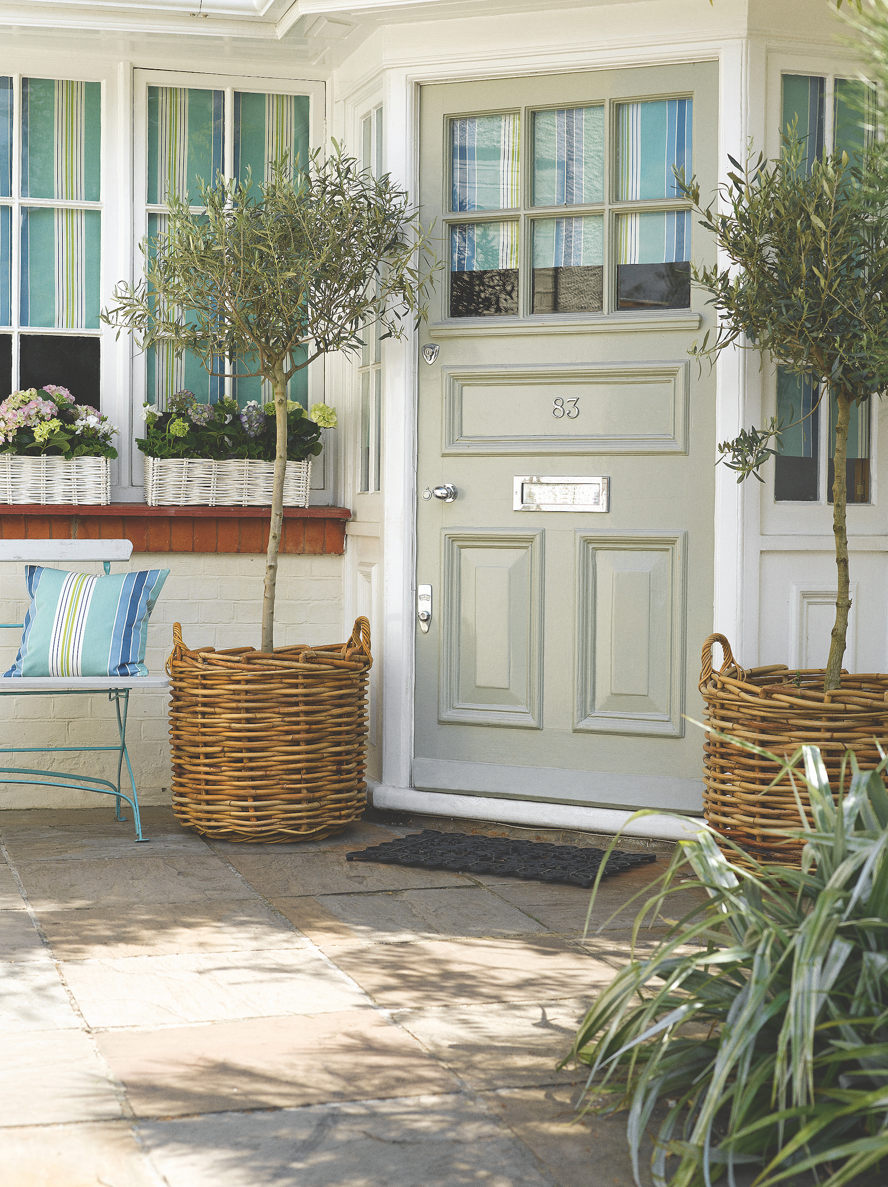 front door cleaning