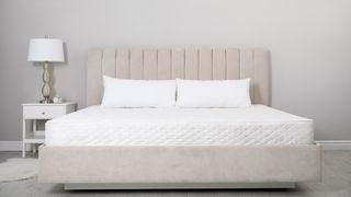 Image shows an Olympic queen mattress on a beige bedframe