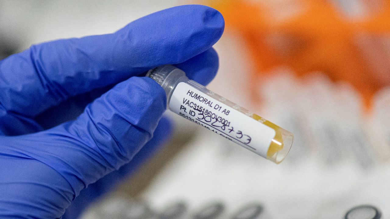 A researcher sorts samples during phase three trials of the vaccine in Colombia