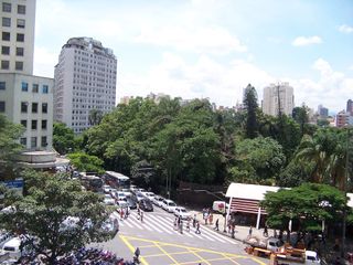 Park in Brazilian state of Minas Gerais, where a group of marmosets live.