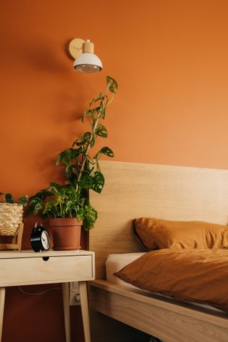 modern bedroom with orange walls, a green plant, and a wooden bed frame