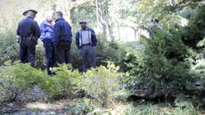 Dead bear cub discovered in Central Park in 2014, now known to have been put there by Robert Kennedy Jr.