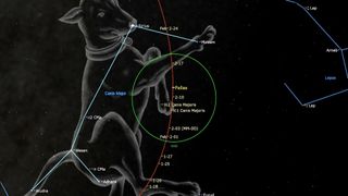 An illustration of the night sky on Feb. 12 depicting the path of the large main belt asteroid (2) Pallas resuming prograde motion.
