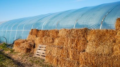 straw bale greenhouse supporting a pvc tunnel