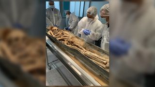 Scientists at the Toulouse forensic medicine laboratory open a sarcophagus, which shows that the individual's skull had been sawn off at the time of his death.