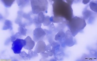 Magnified view of lapis lazuli particles, embedded within medieval plaque.