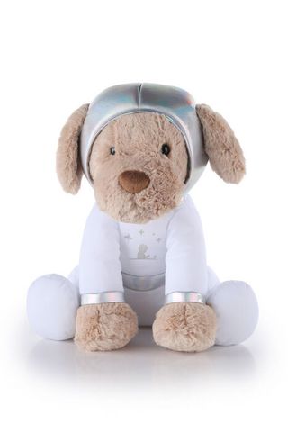 St. Jude Children's Research Hospital is selling replica Inspiration4 zero-g indicator space puppy dolls as a fundraiser.