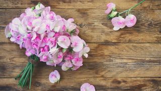 bouquet of pink and whit sweetpeas laying on a rustic table top