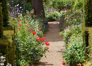 A garden with a walkway and flowers on each side