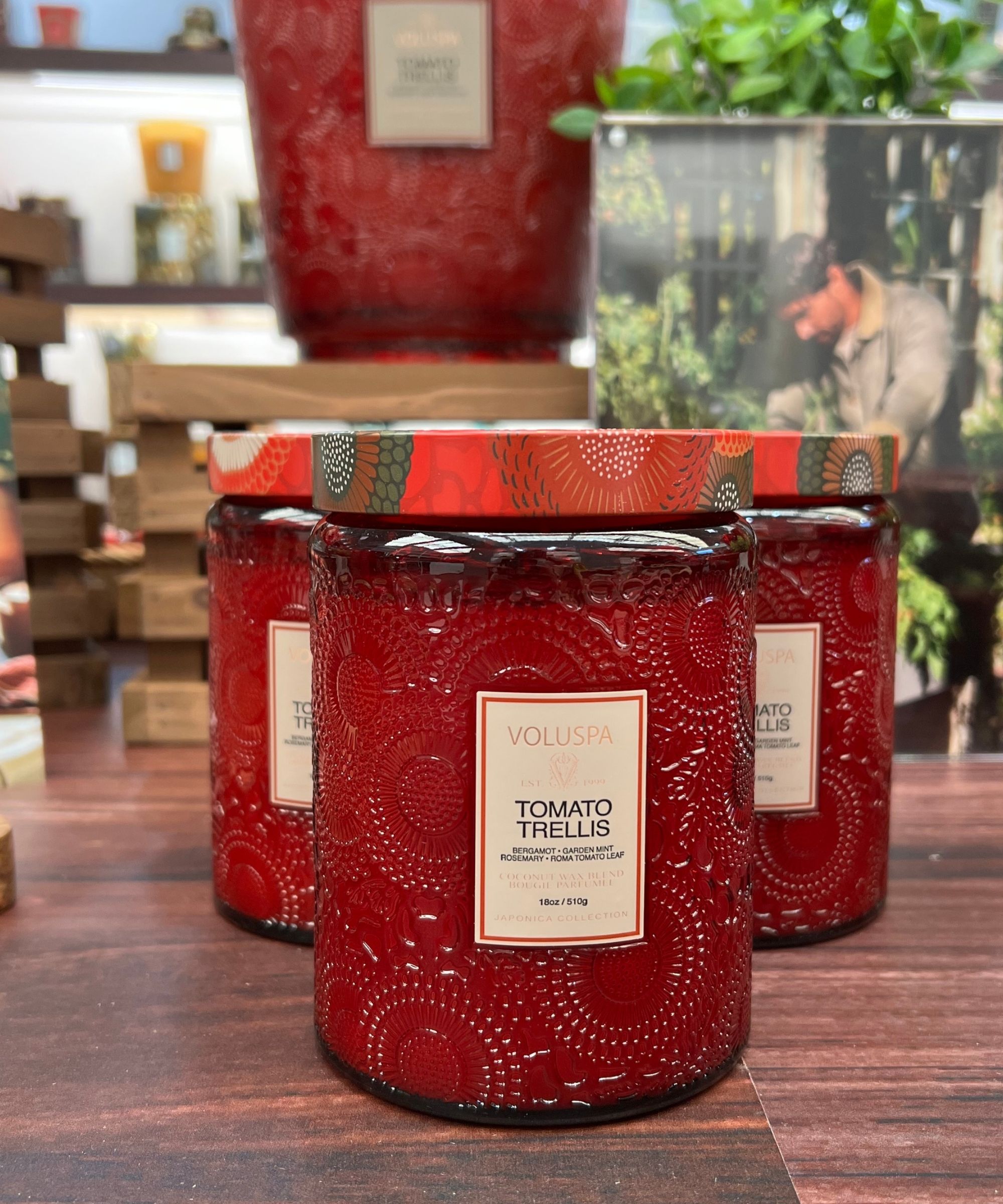 Three Voluspa Tomato Trellis candles in red patterned vessels pictured on a dark wood surface. In the blurred background is a wooden crate, large red candle, photograph, and basil plant.