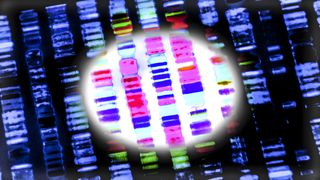 Close up of DNA sequencing data, depicted as rows of colorful lines