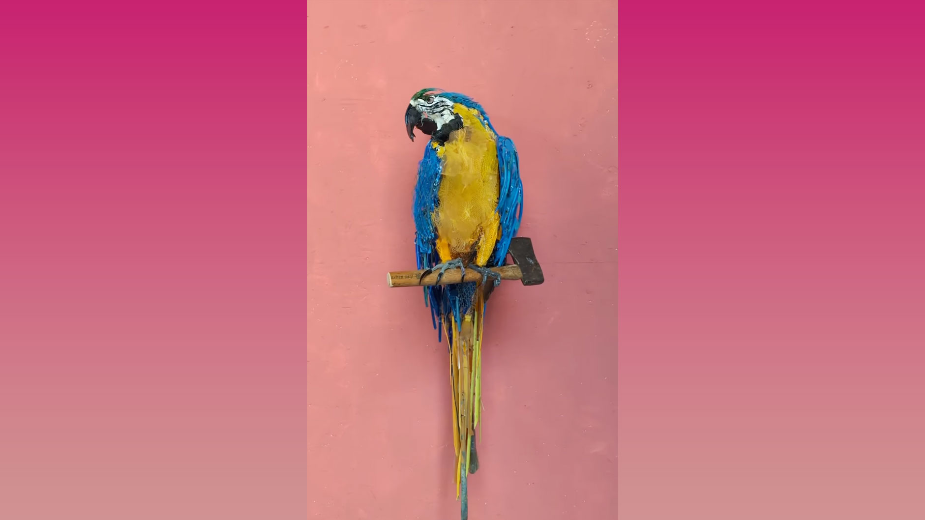 Artist's astounding optical illusion sculptures go viral