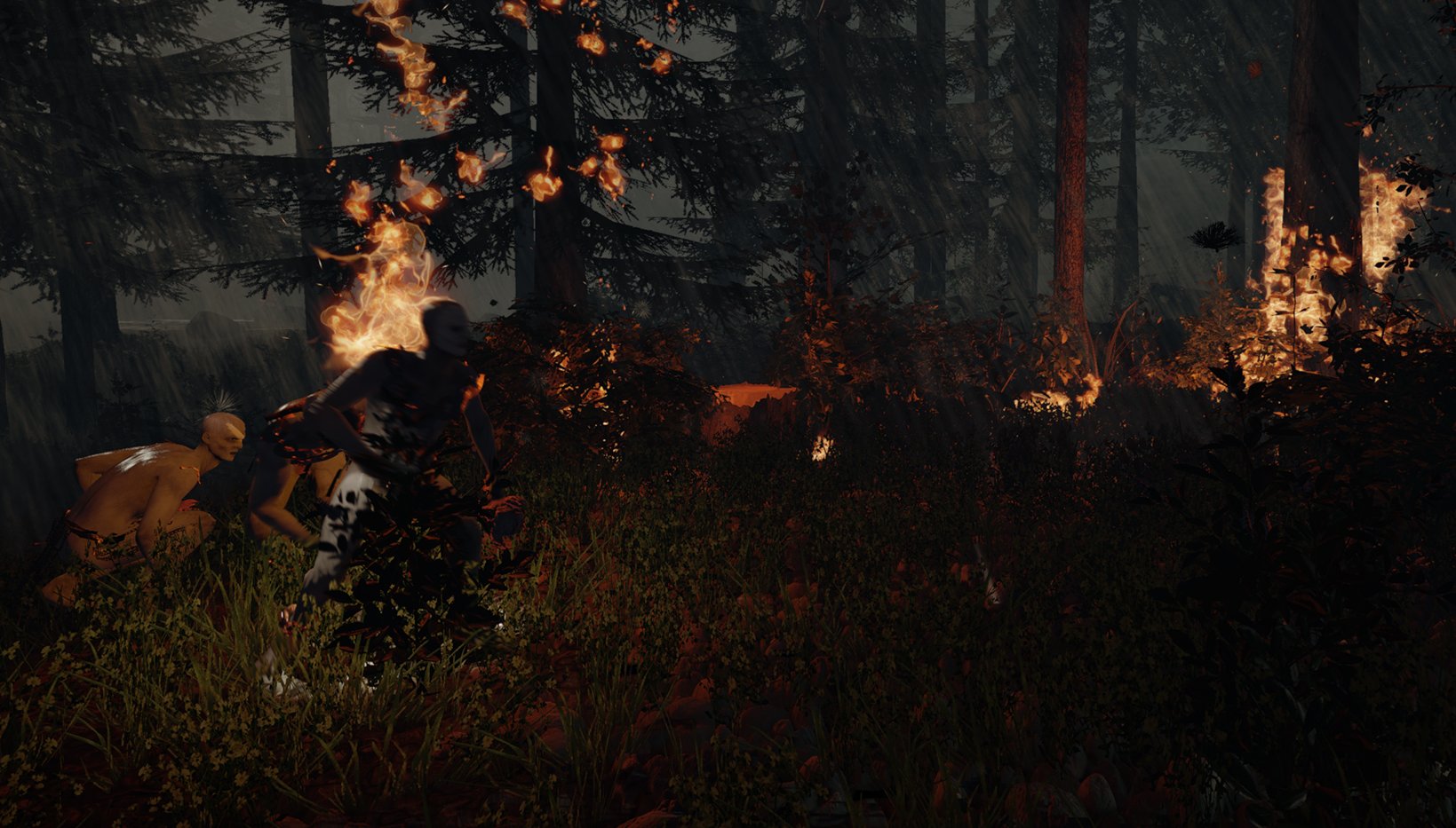 The Forest 1