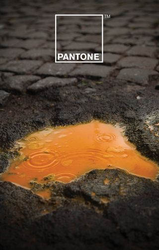 print ads: Pantone